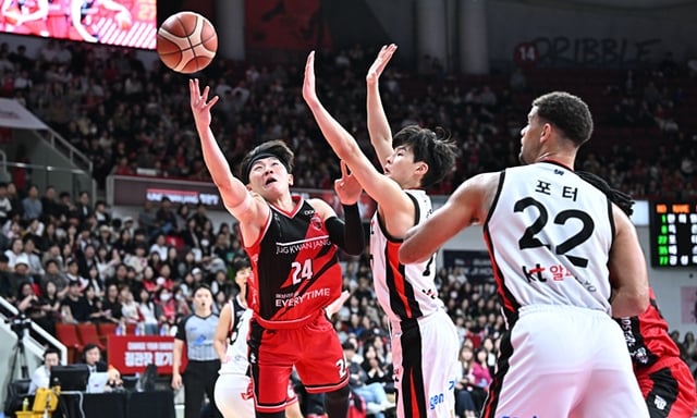 31일 오후 2시 안양 정관장아레나에서 열린 2026~2027 KCC 프로농구 정규리그 경기 중. /사진=KBL 제공