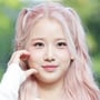 34번째 이미지
