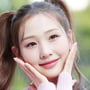 12번째 이미지