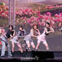8번째 이미지