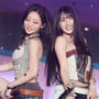 33번째 이미지