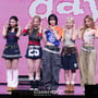 50번째 이미지