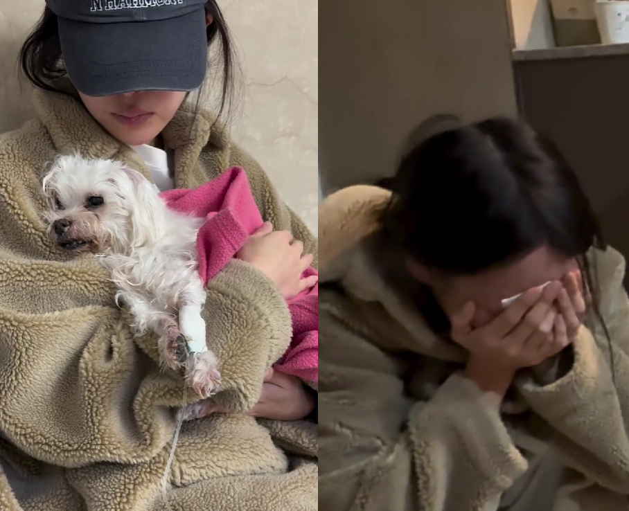 =黄薪惠、李真伊。