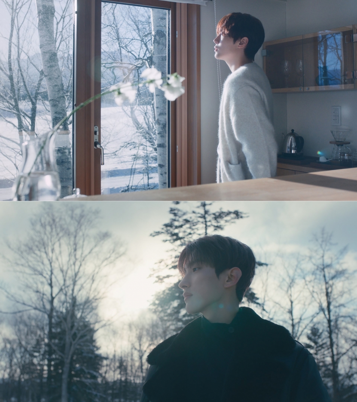 /Cung cấp ảnh = Pledis Entertainment  