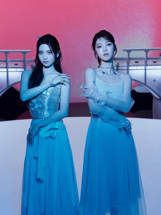 =照片=it娱乐公司。