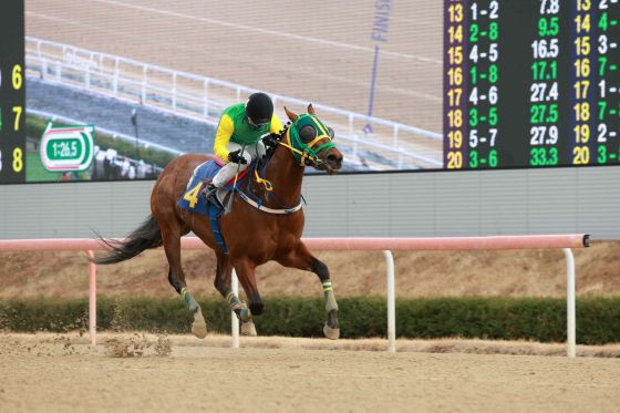 /写真提供=韓国馬事会