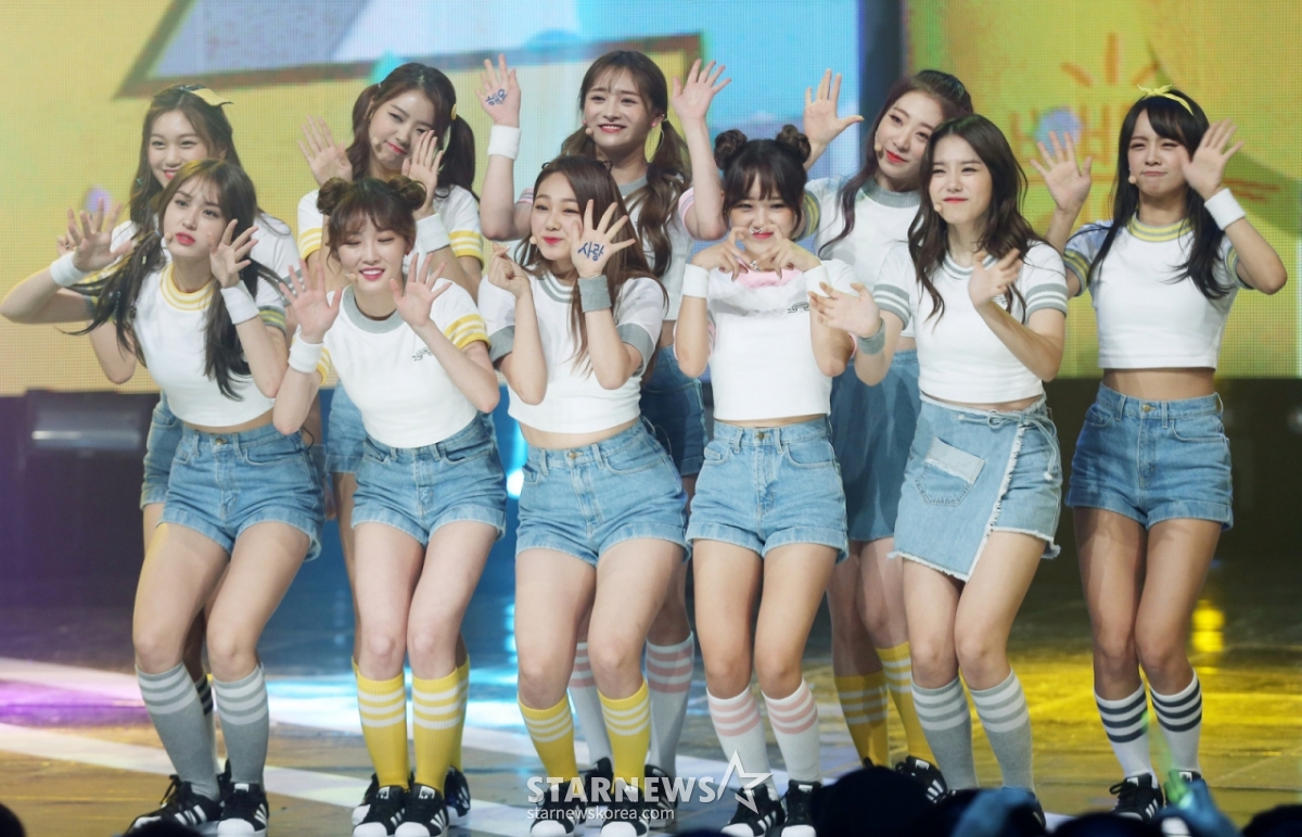 =i.o.i/照片=明星新闻。