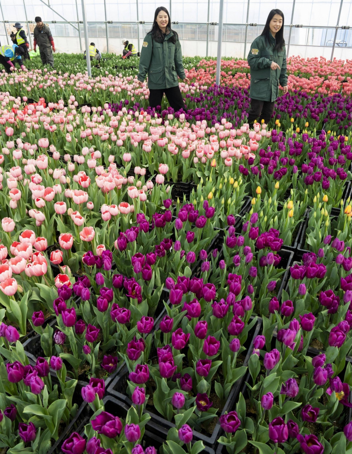 /photo courtesy = Everland