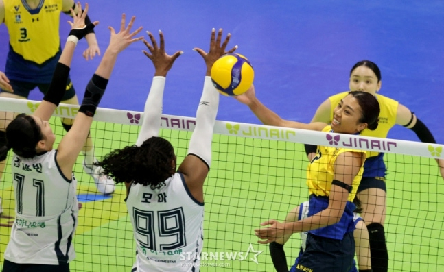 今年2月24日、水原で行われた女子部現代建設-韓国道路公社の試合の様子。 /写真=スターニュース