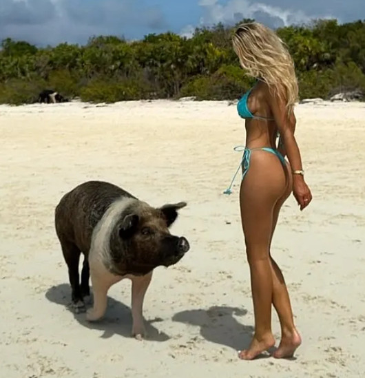 图为，玛丽莎·艾尔斯（右）与猪一起摆出造型。 =照片=《太阳报》结束。