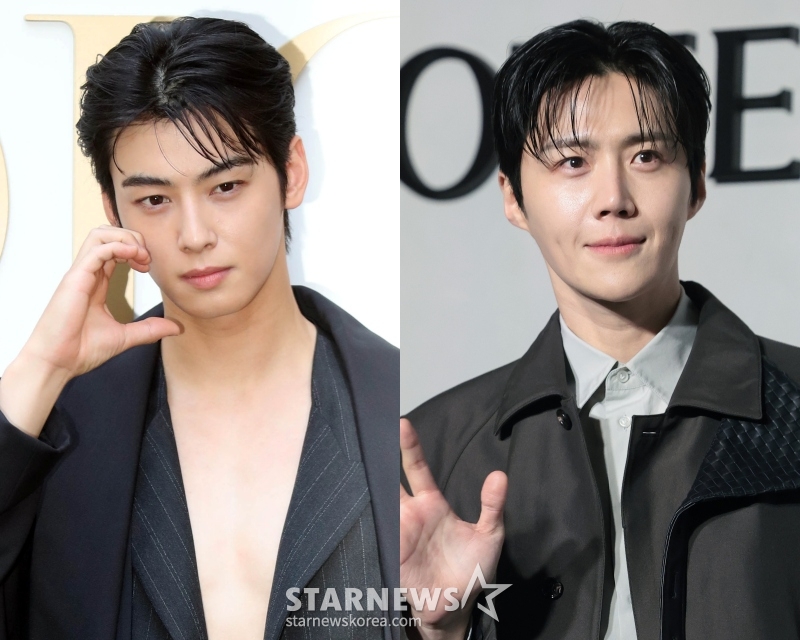 Cha Eun Woo, Kim Sun Ho / Ảnh = Star News