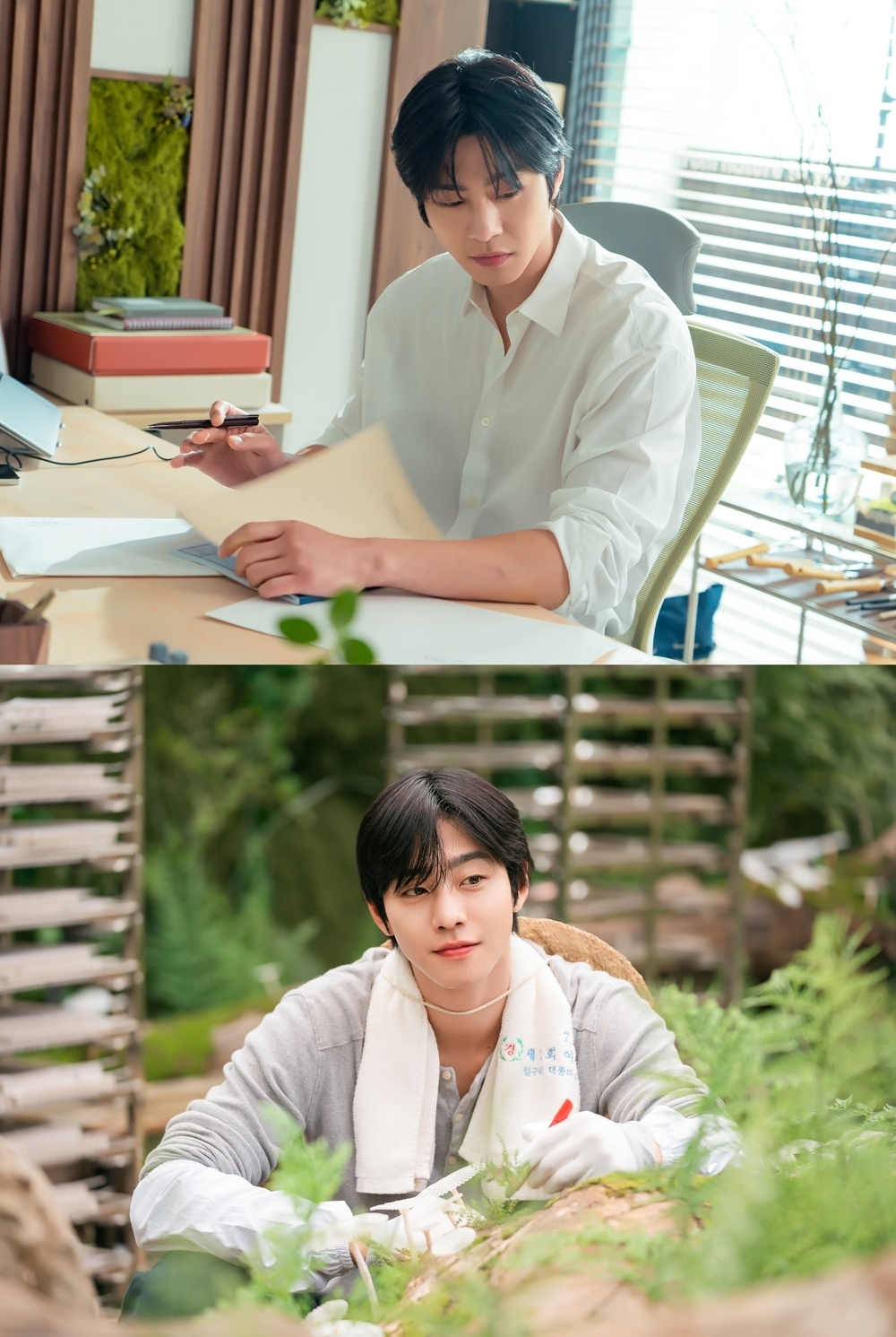 アン·ヒョソプ