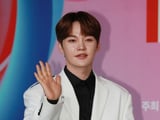 스타뉴스
