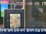 가수 보아 낙서 테러범 기소