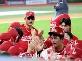 NC다이노스