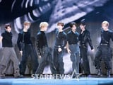 스타뉴스