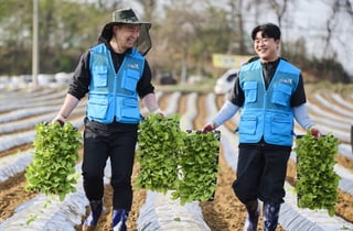 KT&G, 잎담배 매입 가격 인상