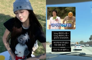 '결혼' 최준희, 미국 신혼여행 도착 "캐리어만 164kg+반려견 두 마리까지"